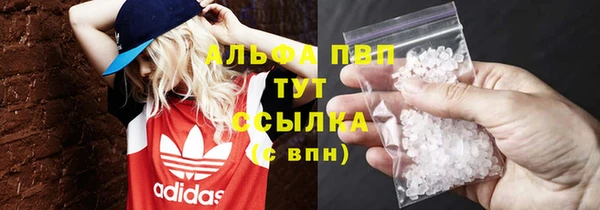 индика Вяземский