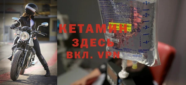индика Вяземский