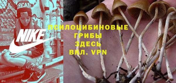 МДПВ Касимов