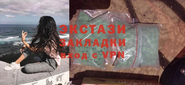 индика Вяземский