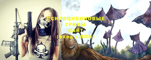 спиды Бронницы