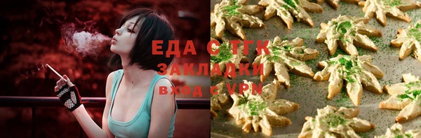 индика Вяземский