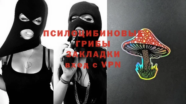 гашик Верхнеуральск
