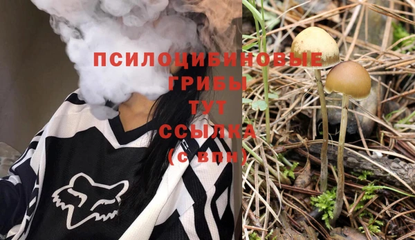 эйфоретик Вязьма