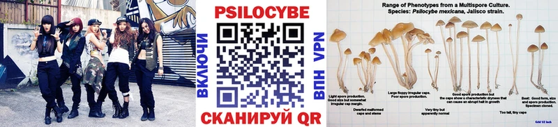 МЕГА ONION  Далматово  Псилоцибиновые грибы Cubensis 